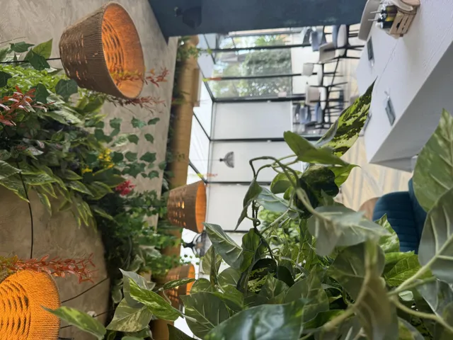 Hotel Ylli Shëngjin – pamje nga deti Adriatik dhe ambientet e hotelit, foto 6